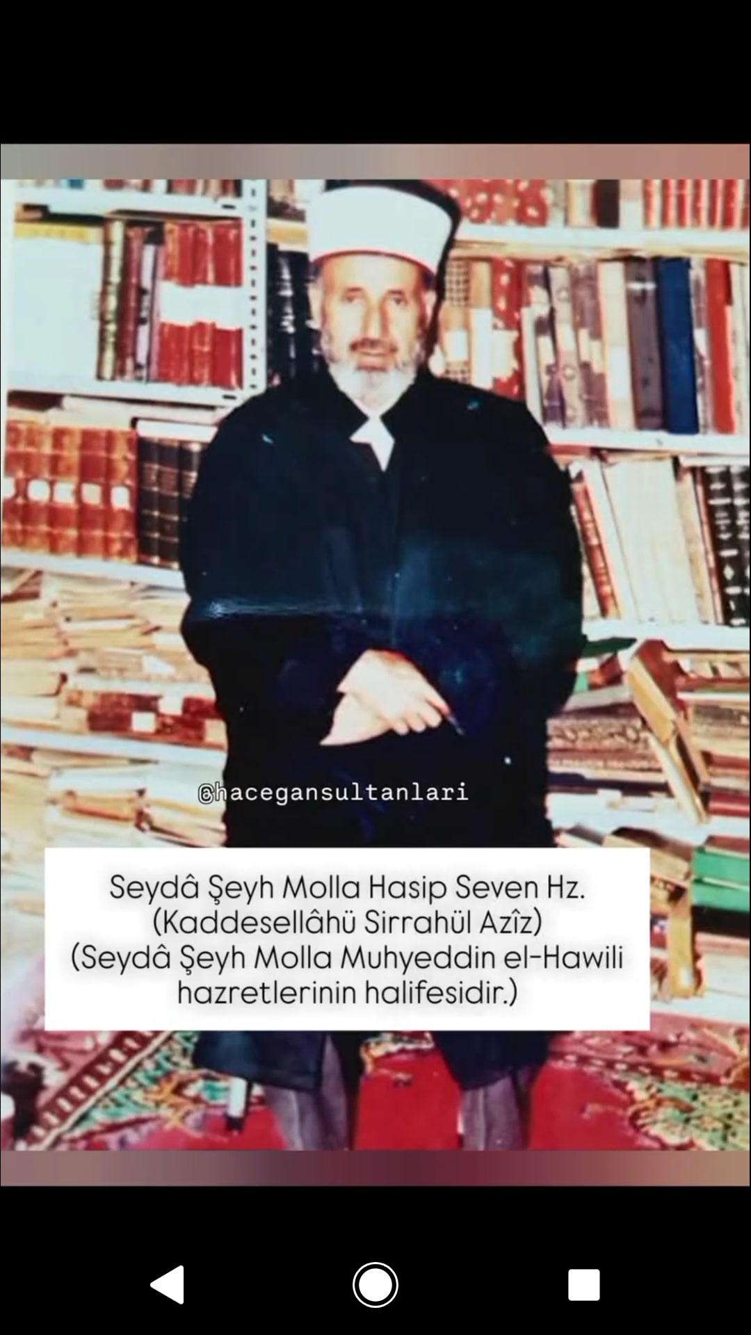 SEYDA MOLLA HASP SEVEN
